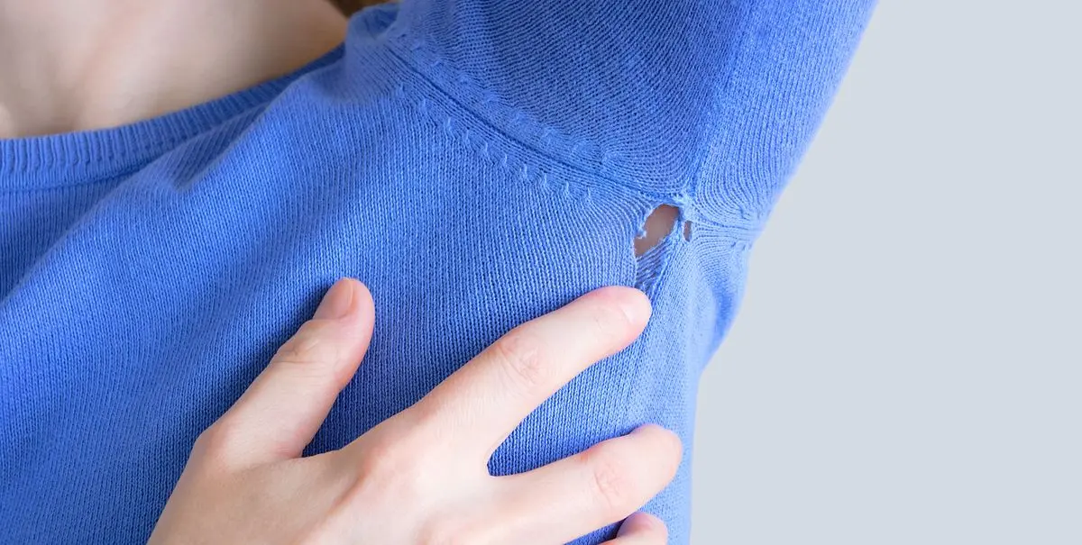 bichitos en secadoras de ropa - Cómo eliminar los bichos que se comen la ropa