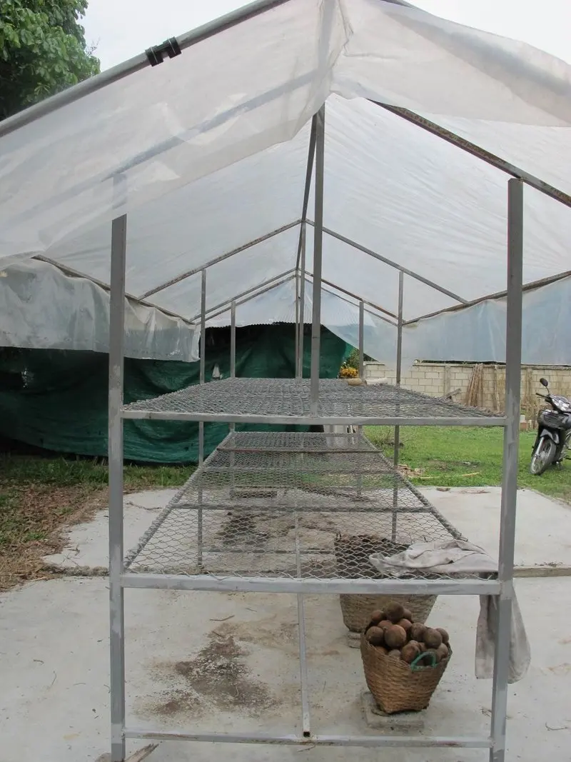 Secador de Semillas: Cómo secar y conservar tus semillas de forma adecuada - Qué es el secado de semillas secador de semillas - Qué es el secado de semillas