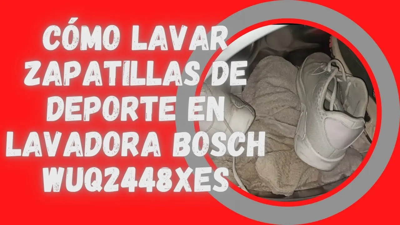 lavar zapatillas lavadora bosch - Qué pasa si pongo mis zapatillas en la secadora